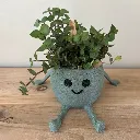 Happy-pot-Mutted-Green.webp