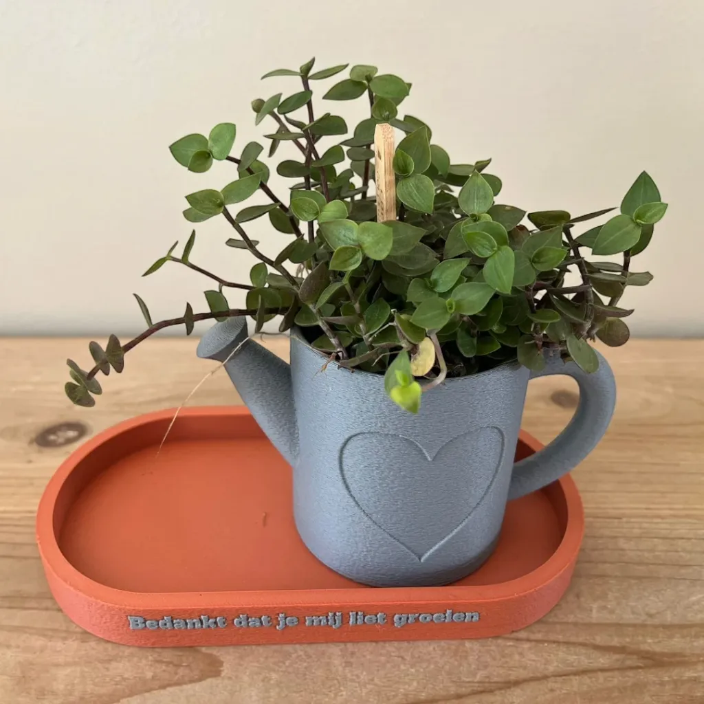 Schaaltje-met-gieter-bedankt-dat-je-mij-liet-groeien-Terracotta-gray.webp
