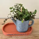 Schaaltje-met-gieter-bedankt-dat-je-mij-liet-groeien-Terracotta-gray.webp