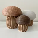 Japandi-paddenstoelen.webp