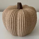 Geribbelde-pompoen-fuzzy-groot.webp