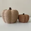 Geribbelde-pompoenen-fuzzy.webp