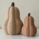 Geribbelde-flespompoenen-fuzzy-2.webp