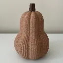 Geribbelde-flespompoen-fuzzy-groot.webp