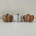 Geribbelde-pompoenen.webp