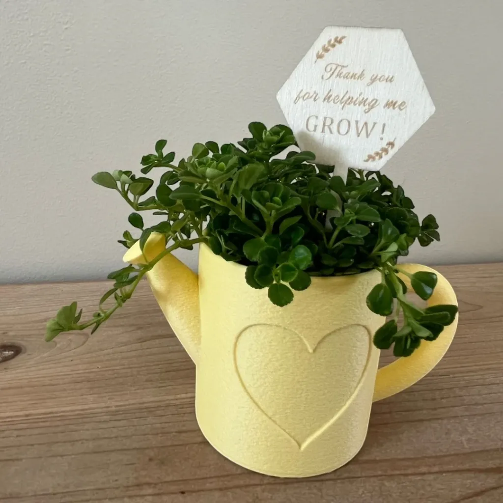 Gieter als plantenpot (Productfoto's)