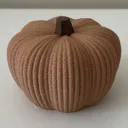 Geribbelde pompoen fuzzy